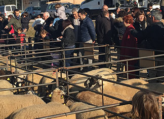 Centenars de persones en una Fira de Santa Llúcia centenària