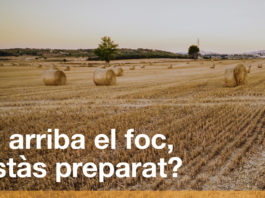 Si arriba el foc, estàs preparat?