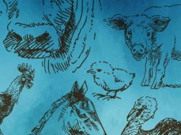 Torna la Fira de Santa Llúcia a Prats