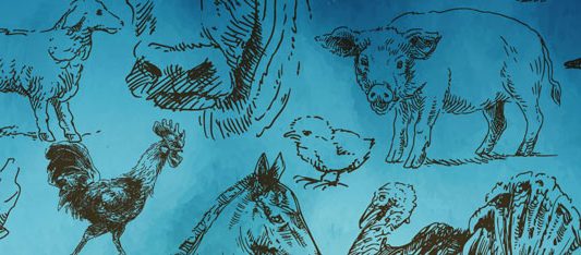 Torna la Fira de Santa Llúcia a Prats