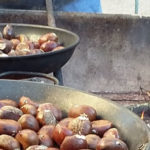 banner-activitats