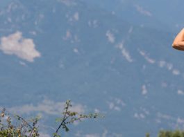 Pla d’Informació i Vigilància contra Incendis Forestals (PVI)