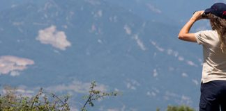 Pla d’Informació i Vigilància contra Incendis Forestals (PVI)