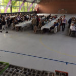 festa-avis-4