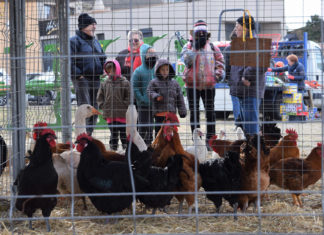 La Fira de Santa Llúcia omple de visitants els carrers de Prats Fira de Santa Llúcia 2018