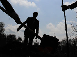 L’Ajuntament de Prats de Lluçanès recupera la Festa de l’Arbre