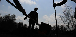 L’Ajuntament de Prats de Lluçanès recupera la Festa de l’Arbre