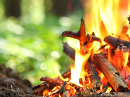 S’inicia el període de prohibició per fer foc al bosc fins el 15 d’octubre