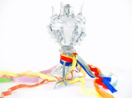 Consulta aquí tota la programació de la Festa Major de Sant Vicenç