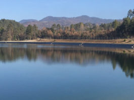 La Mancomunitat d’Aigües de Merlès arranjarà el dipòsit d’aigua de la Terra Negra de Prats de Lluçanès