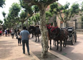 4 carruatges de la Camarga francesa participaran als Elois