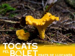 Arriba la segona edició de la fira “Tocats pel Bolet” a Prats de Lluçanès