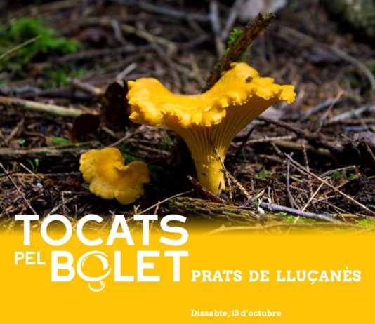 Arriba la segona edició de la fira “Tocats pel Bolet” a Prats de Lluçanès