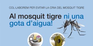 Al mosquit tigre ni una gota d’aigua!