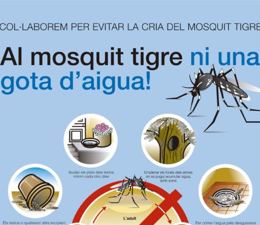 Al mosquit tigre ni una gota d’aigua!