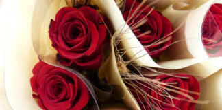 Diada de Sant Jordi a Prats de Lluçanès