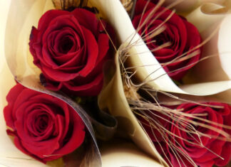 Diada de Sant Jordi a Prats de Lluçanès