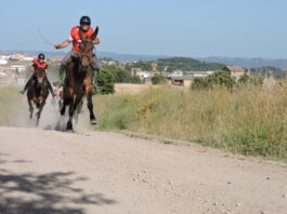 Guanyadors de les Curses dels Elois 2019