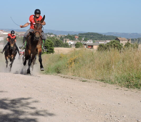 Guanyadors de les Curses dels Elois 2019