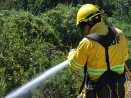 Inscripcions per a l’obtenció del Carnet Groc 2019