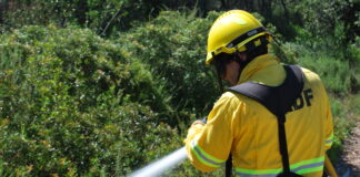 Inscripcions per a l’obtenció del Carnet Groc 2019