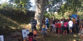 Es recupera la Font del Xambó i del Ti gràcies a la col·laboració intergeneracional promoguda per l’Ajuntament