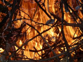 Sol·licitud en línia d’autorització de crema de brancatge i restes vegetals procedents de treballs agrícoles