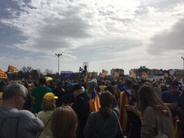 Les veus dels grups municipals – RAP (març 2020)