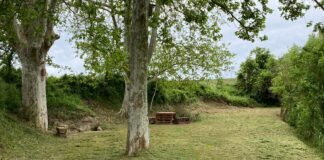 La brigada municipal neteja i desbrossa la Font del Xambó