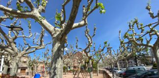 Prats entra a la fase de represa