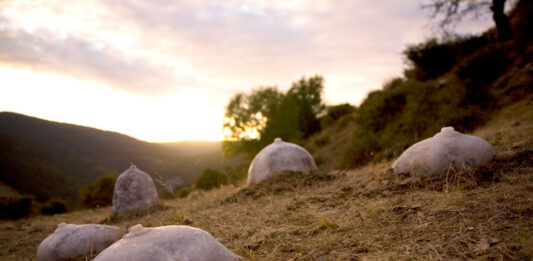Visita guiada gratuïta a l’exposició ‘En nom de la mare, en nom de la terra’