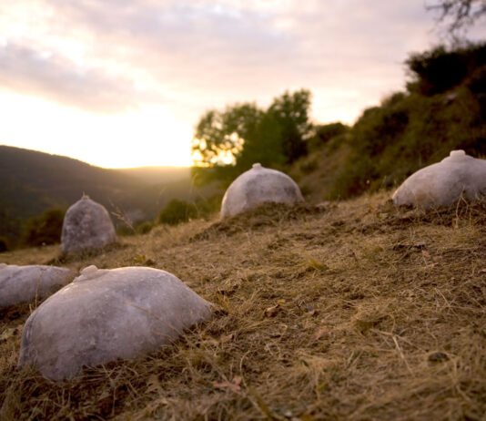 Visita guiada gratuïta a l’exposició ‘En nom de la mare, en nom de la terra’