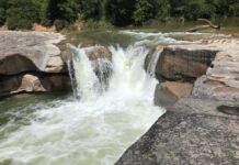 Les veus dels grups municipals – RAP (juliol 2020)