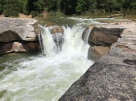 Les veus dels grups municipals – RAP (juliol 2020)