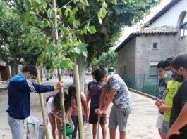 Prats se suma a la iniciativa ‘Un arbre per Europa’ amb la plantada d’un plataner a càrrec del Voluntariat Jove