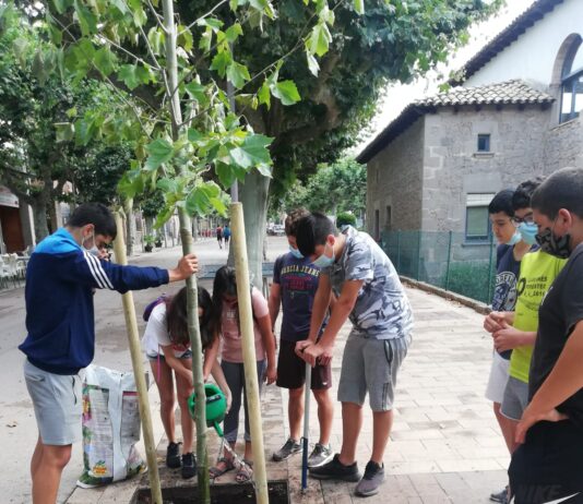Prats se suma a la iniciativa ‘Un arbre per Europa’ amb la plantada d’un plataner a càrrec del Voluntariat Jove