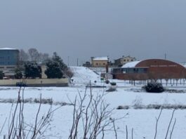 Les veus dels grups municipals – RAP (gener 2021)