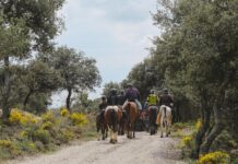 Prats de Lluçanès acull la presentació dels primers recorreguts eqüestres de Catalunya homologats per la Federació Catalana d’Hípica