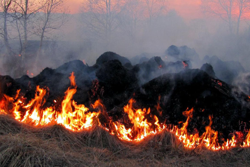 Prohibida la crema de residus vegetals i les activitats de risc d'incendi
