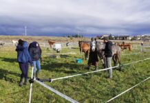 El raid de Le Centaure, un esdeveniment de referència a Prats de Lluçanès