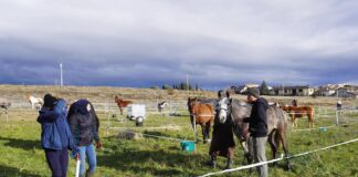 El raid de Le Centaure, un esdeveniment de referència a Prats de Lluçanès