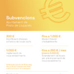 Subvencions_activitat_economica