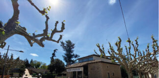 S’obre la consulta pública prèvia per a l’elaboració de la nova ordenança de tinença, protecció i control d’animals al municipi