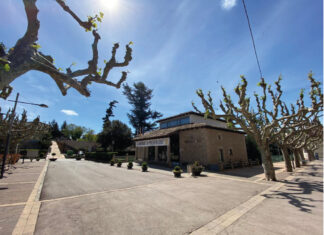 S’obre la consulta pública prèvia per a l’elaboració de la nova ordenança de tinença, protecció i control d’animals al municipi