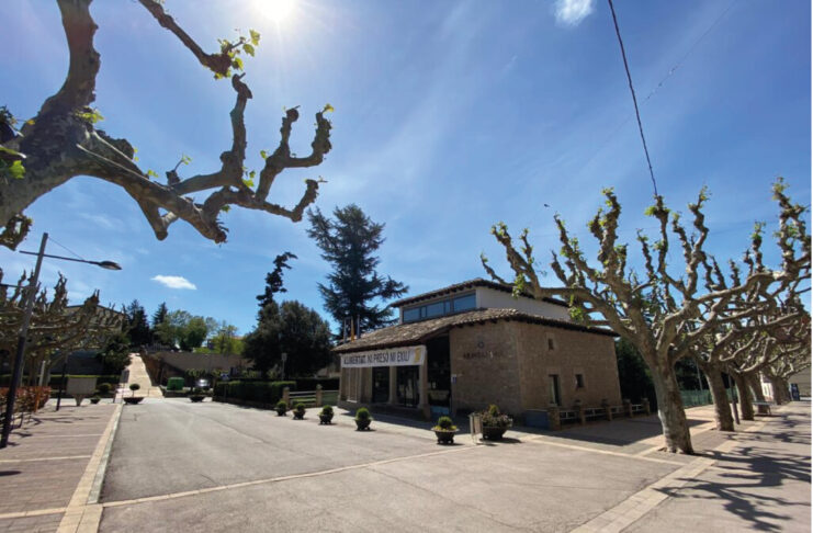 S’obre la consulta pública prèvia per a l’elaboració de la nova ordenança de tinença, protecció i control d’animals al municipi