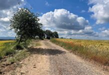 Prats millora camins forestals del municipi