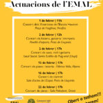 Actuacions febrer 2025 copia