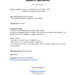 Taller Ballem Sardanes-1