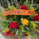 WhatsApp Image 2025-09-12 at 12.54.40