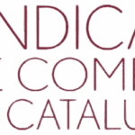 Sindicatura de Comptes